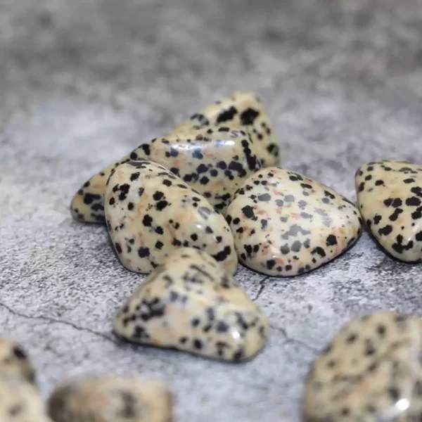 Jaspe dalmatien roulé, taille 20/30 mm, pierres naturelles pour grossistes et détaillants