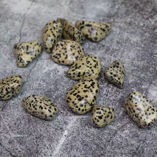 Pierres naturelles en jaspe dalmatien, roulées, taille 20/30 mm, pour professionnels des pierres précieuses